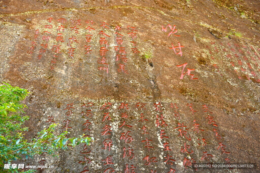 武夷山国家公园