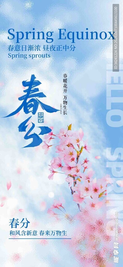 春分节气宣传海报展板