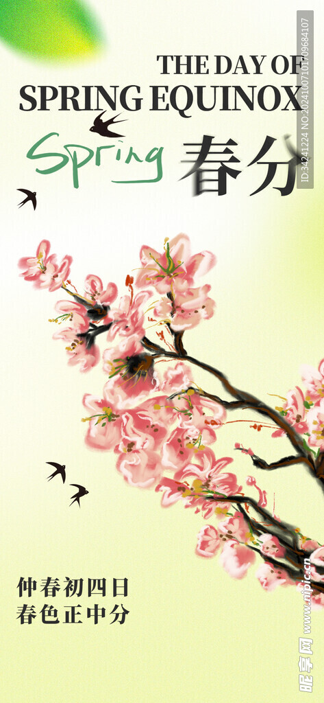 春分节气宣传海报展板