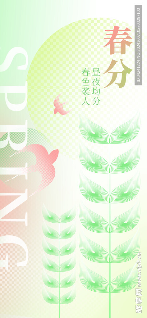 春分节气宣传海报展板