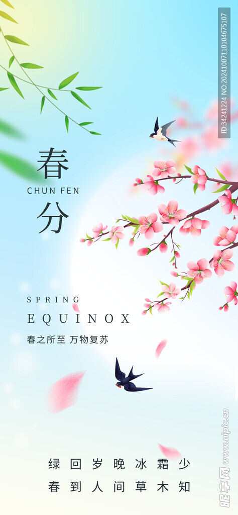 春分节气宣传海报展板