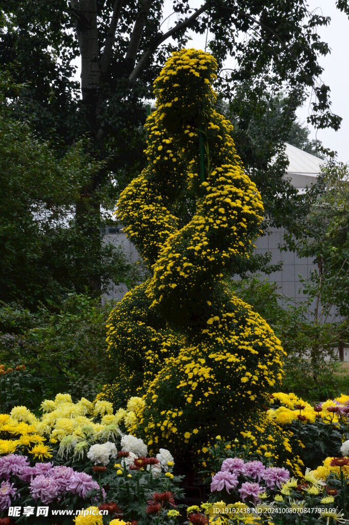 花坛  