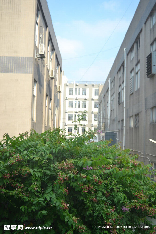 厂房宿舍