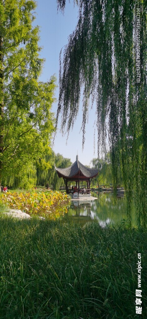公园风景 