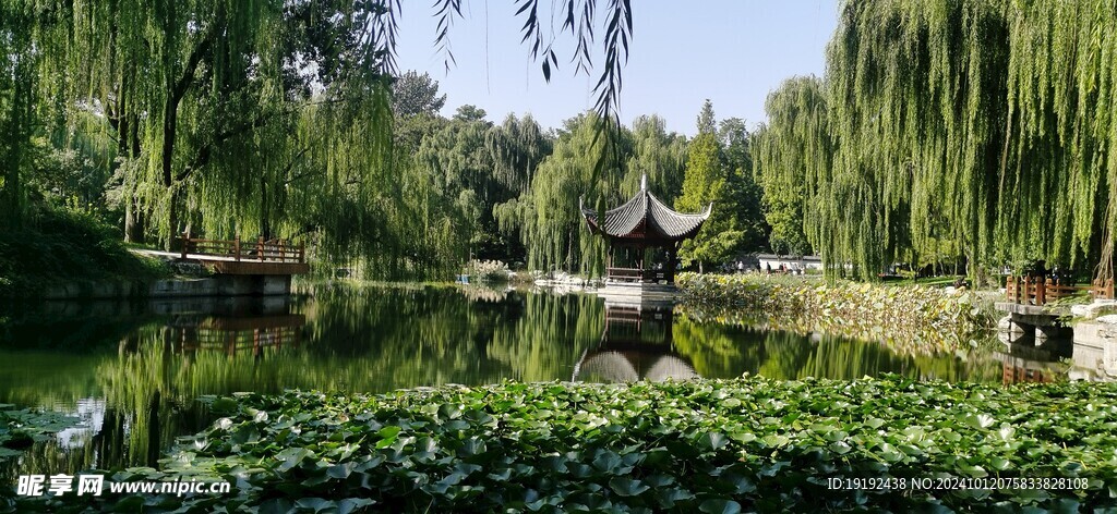 公园风景 