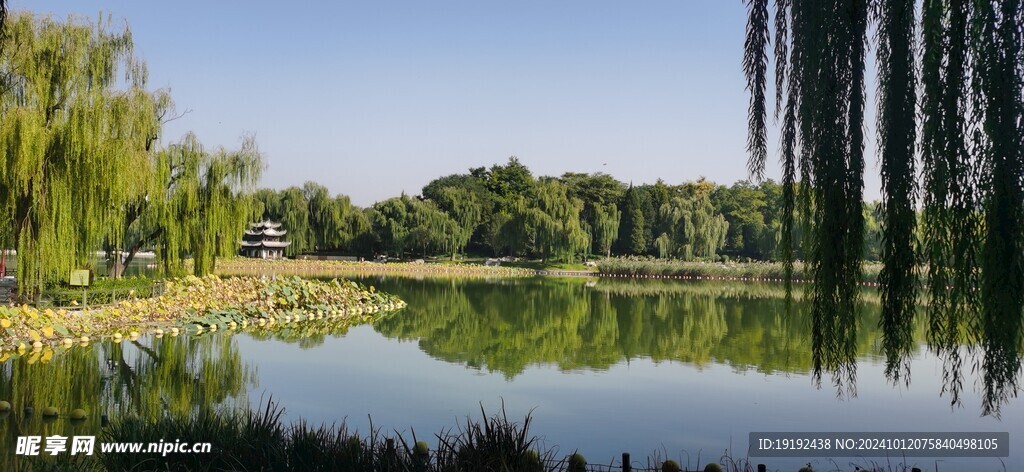 公园风景  