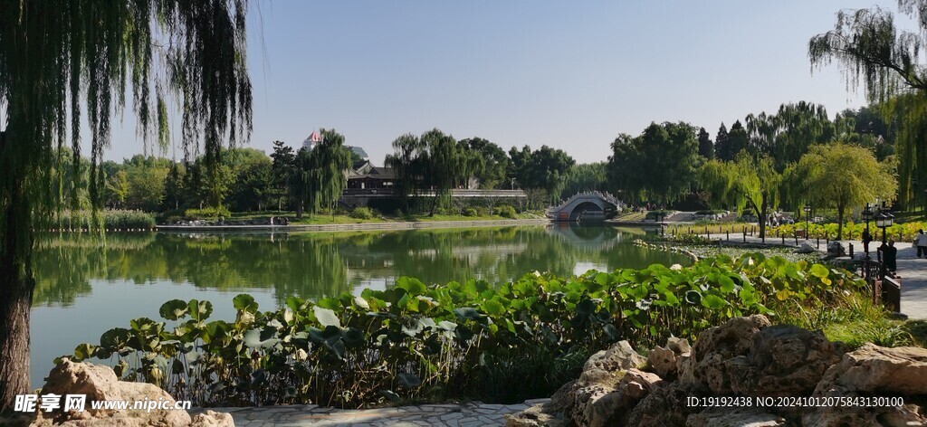 公园风景 