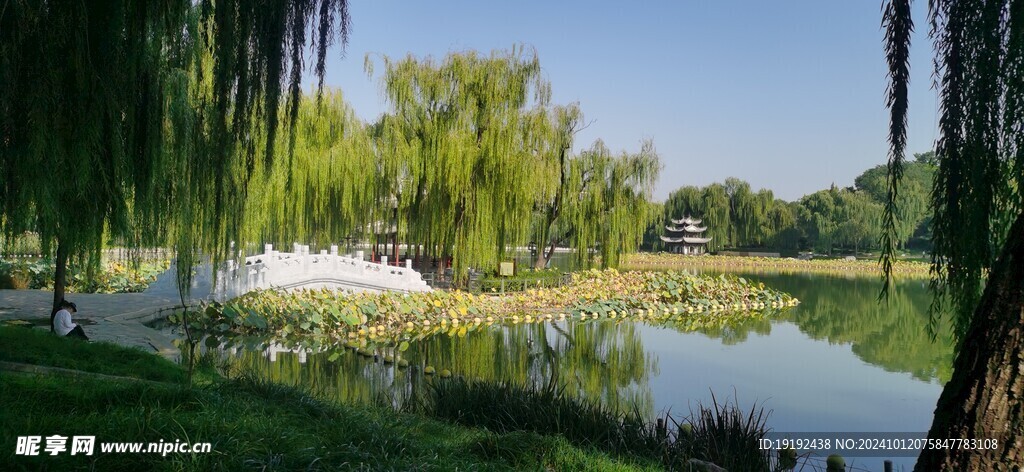 公园风景 
