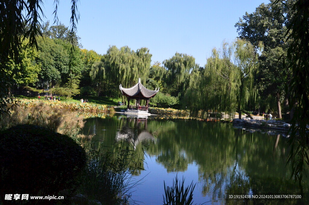 公园风景 