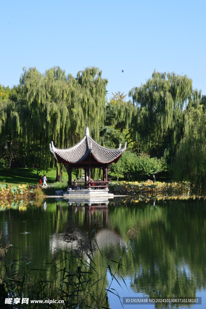 公园风景  