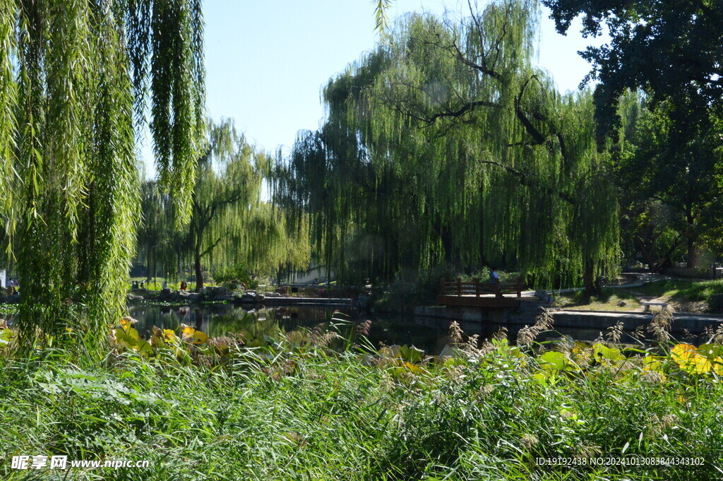 公园风景  