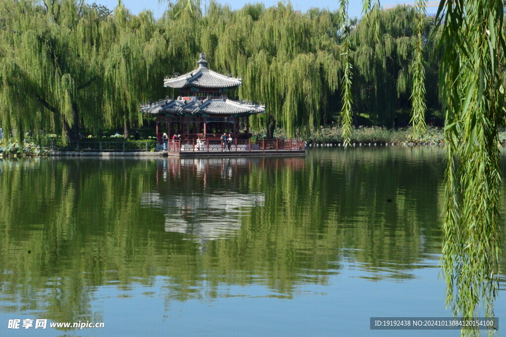 公园风景 