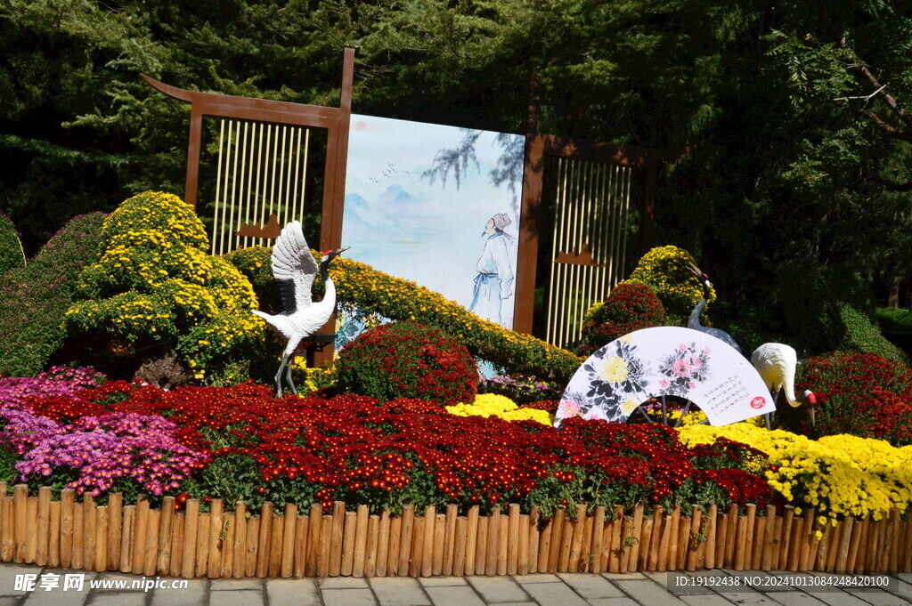 公园风景 
