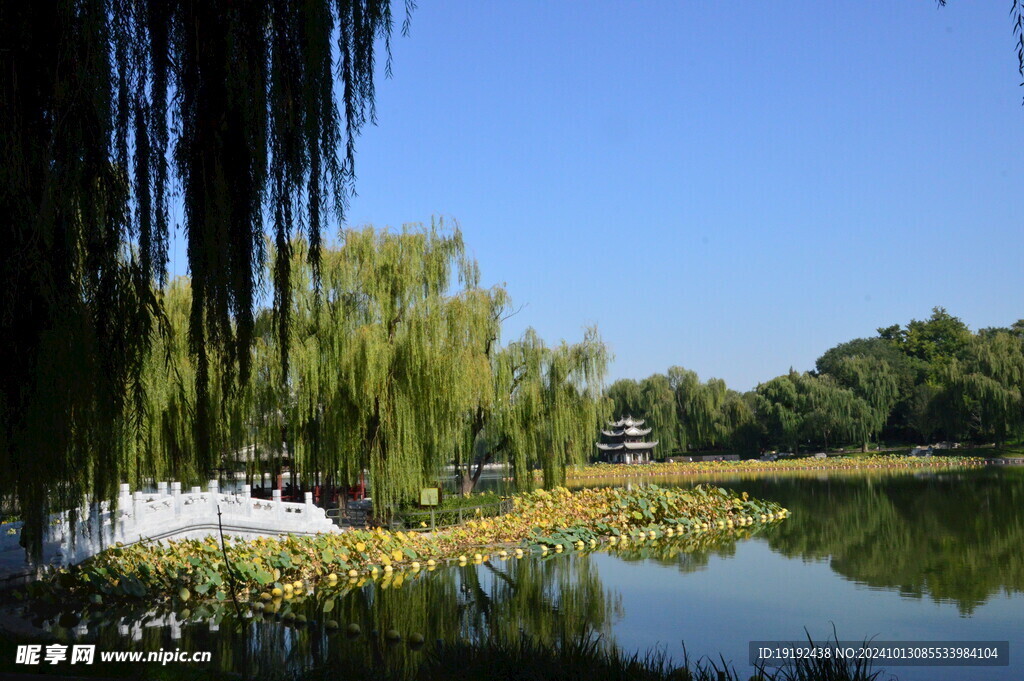 公园风景  