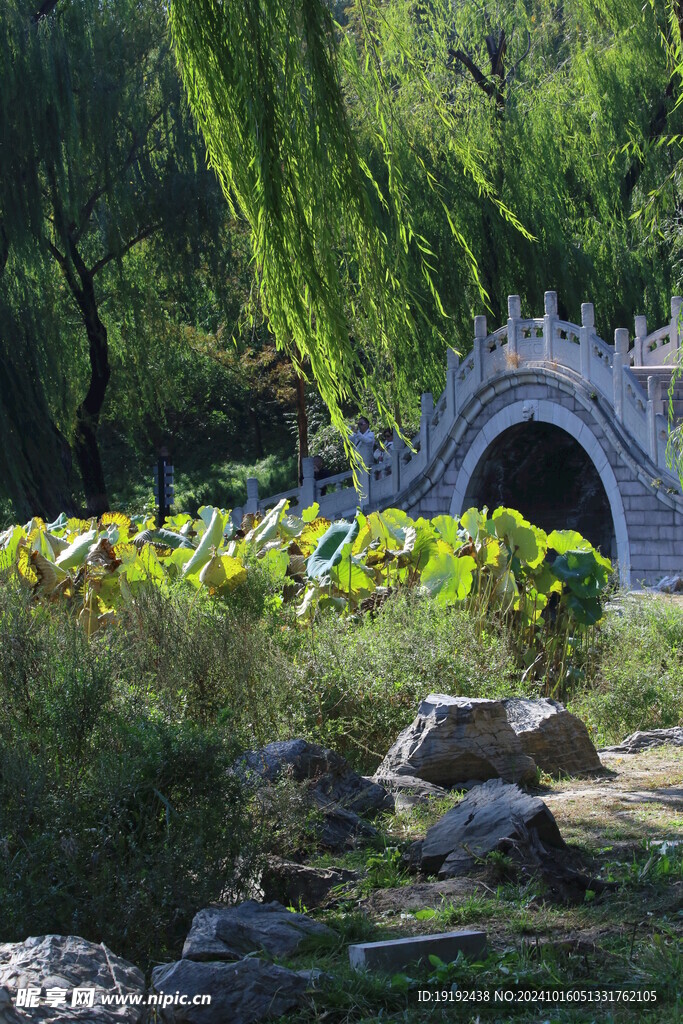 公园风景 