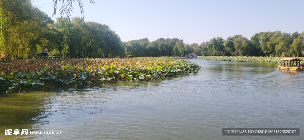 公园风景  