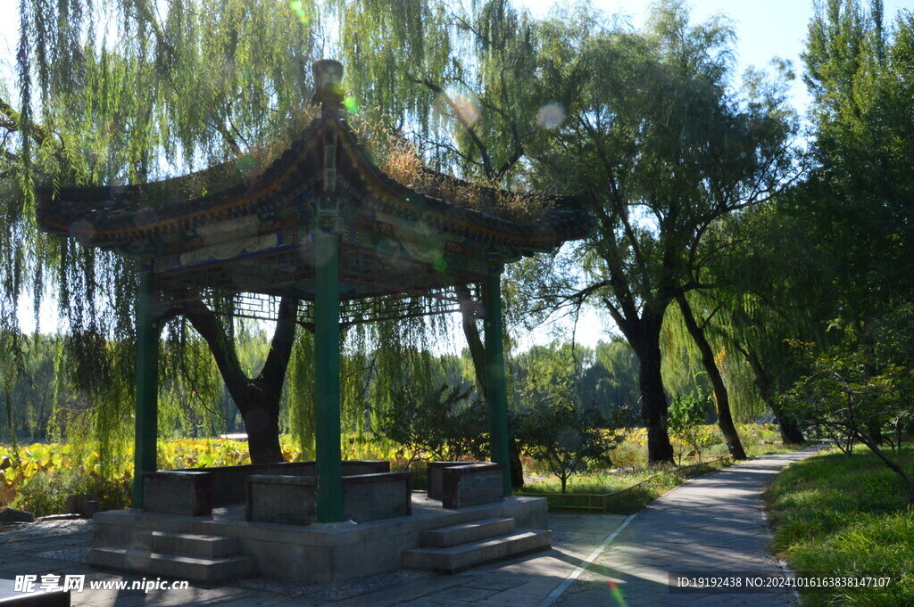 公园风景 