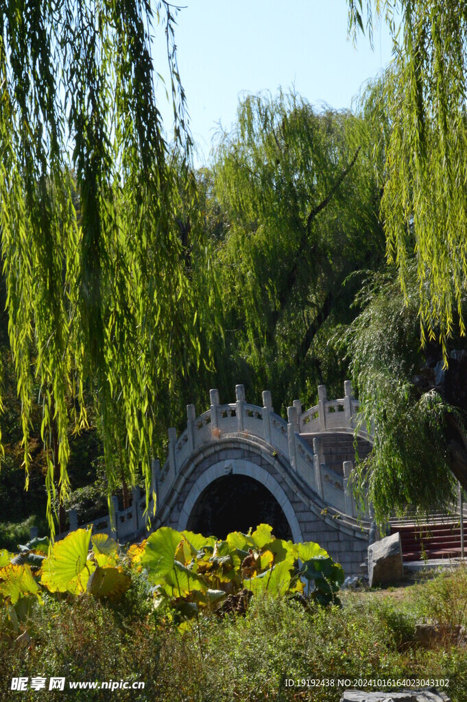 公园风景  