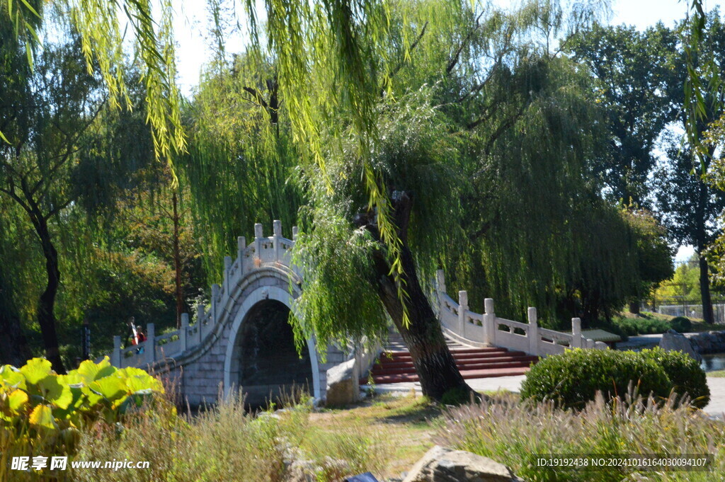 公园风景 