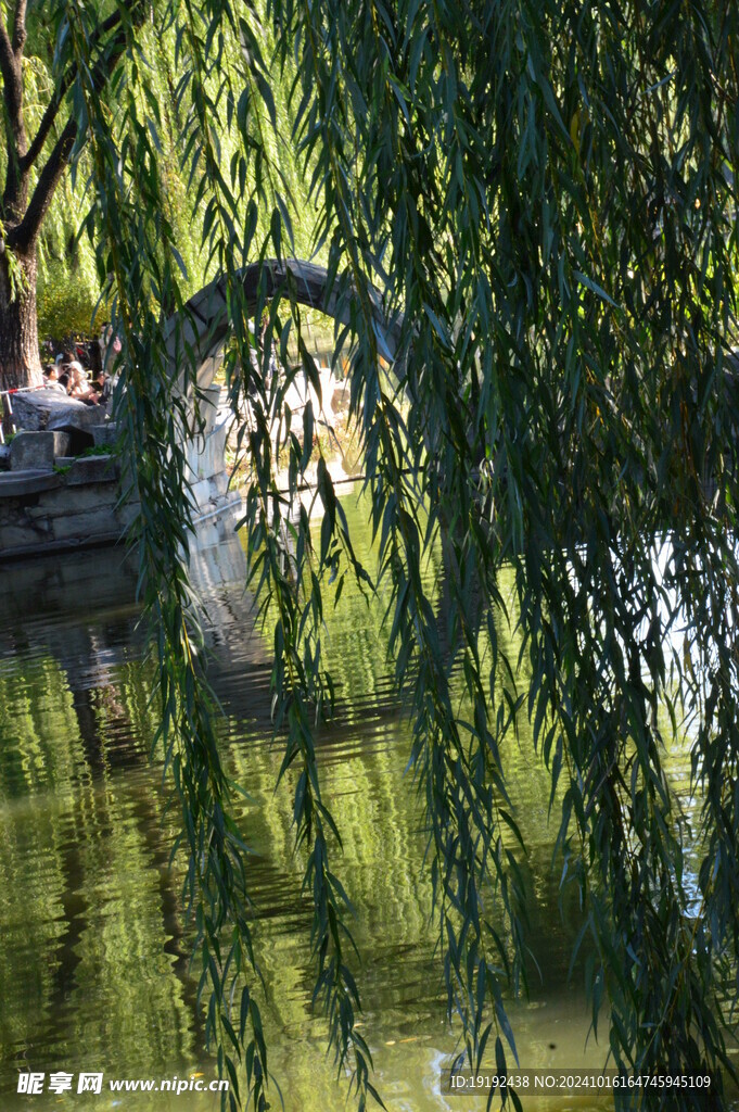 公园风景  