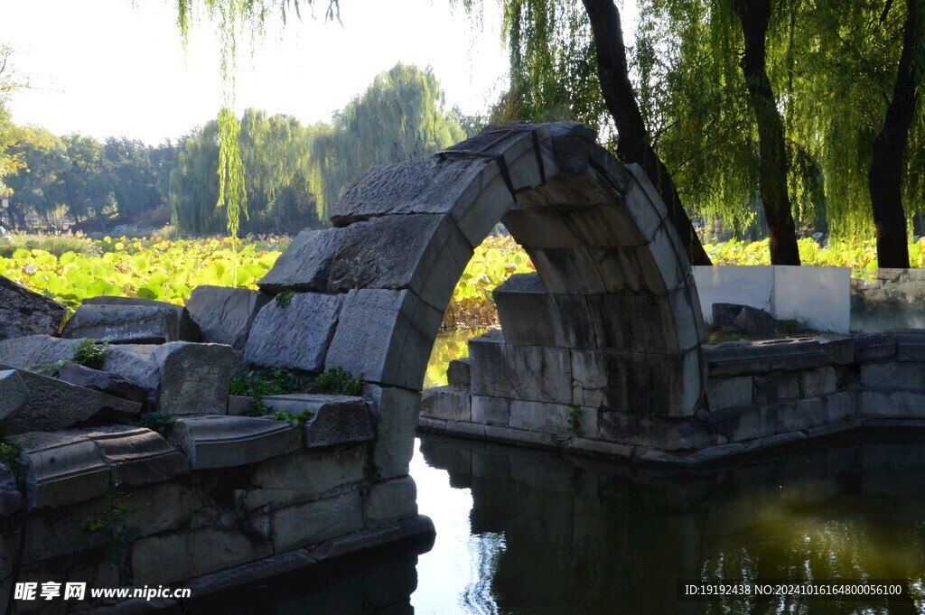 公园风景 