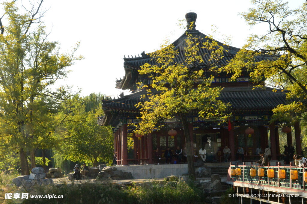 公园风景  