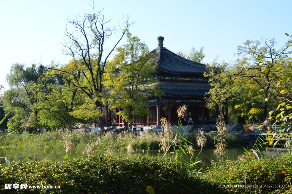 圆明园风景  