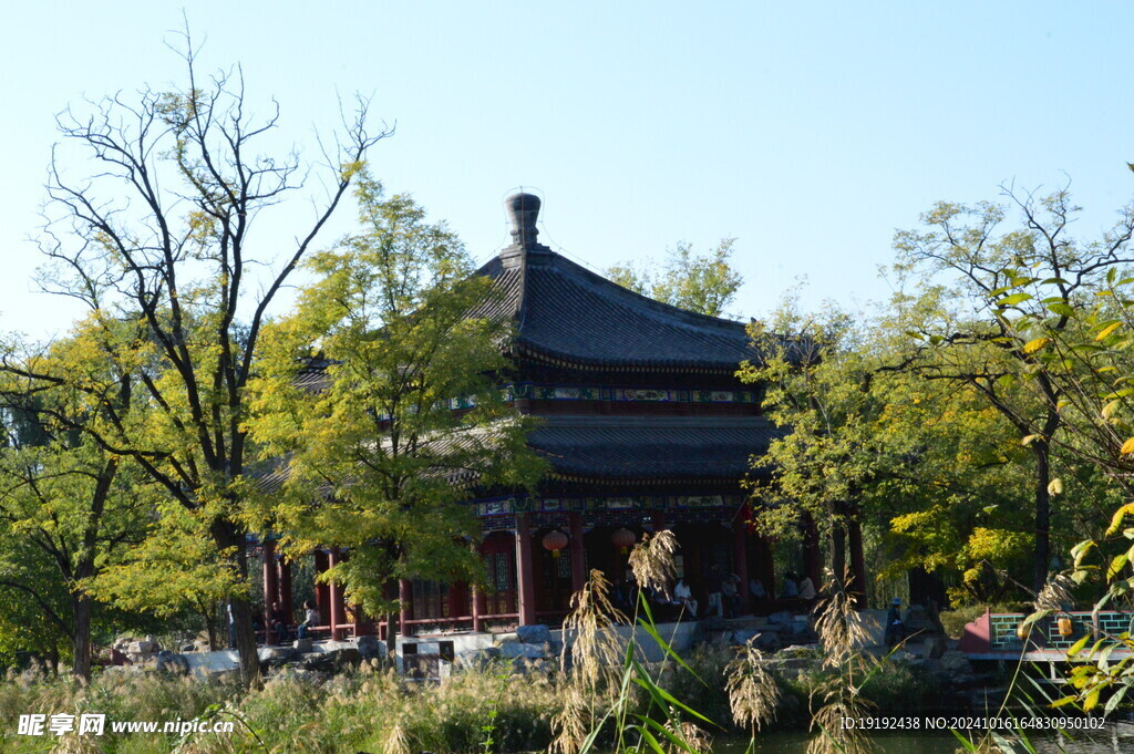 公园风景 
