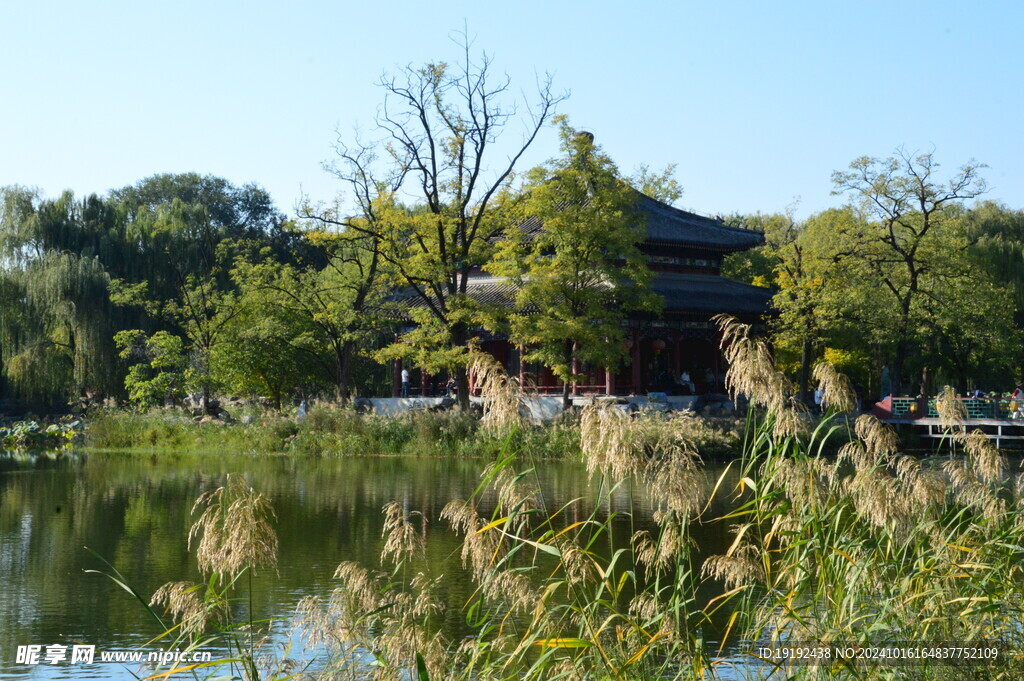 公园风景  