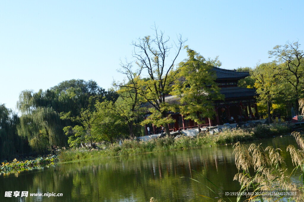公园风景 