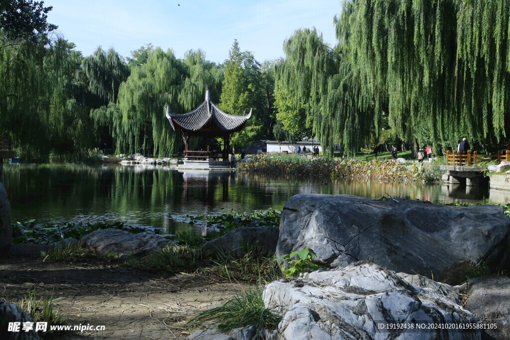 公园风景  