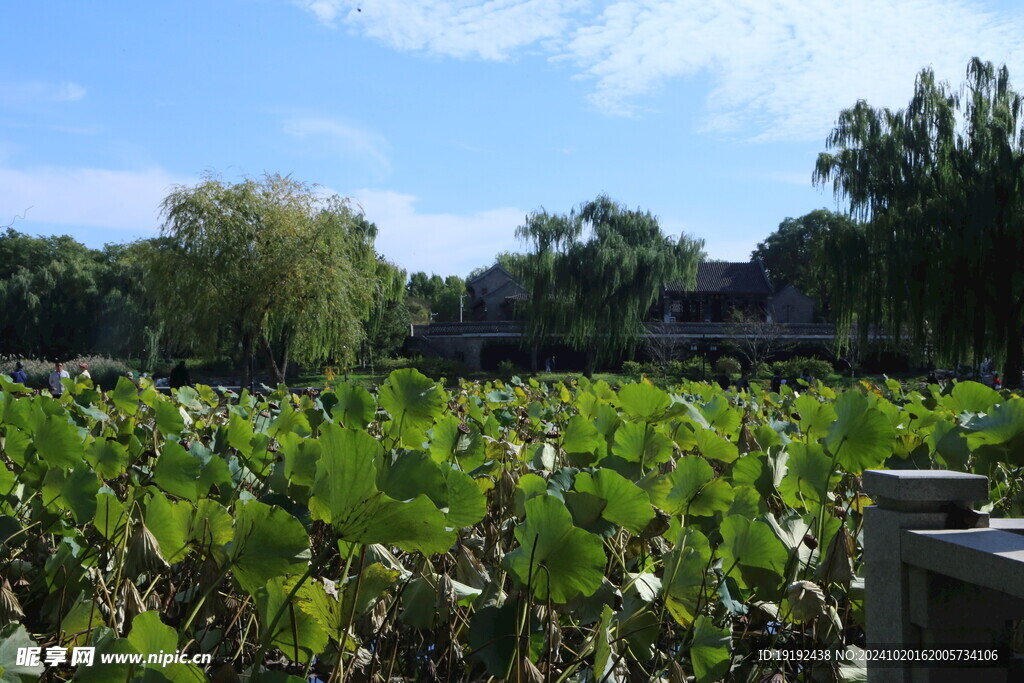 公园风景  