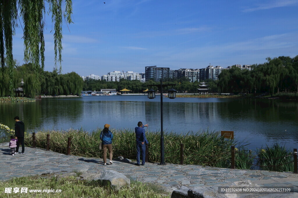 公园风景  