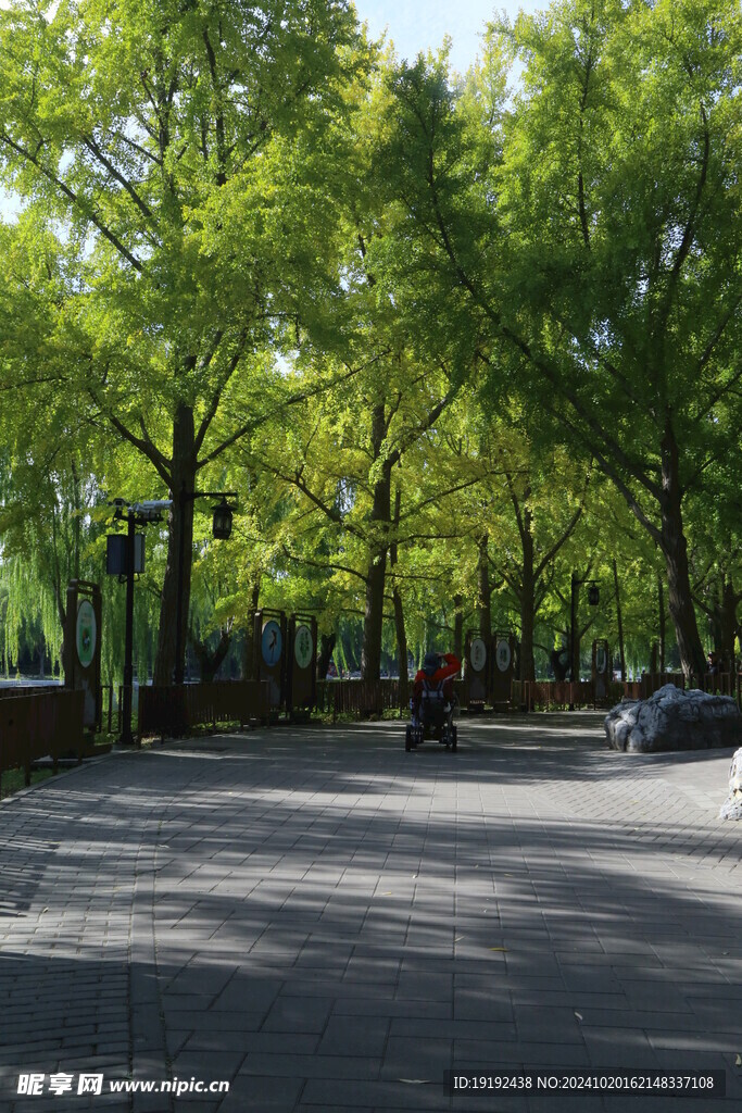 公园风景  