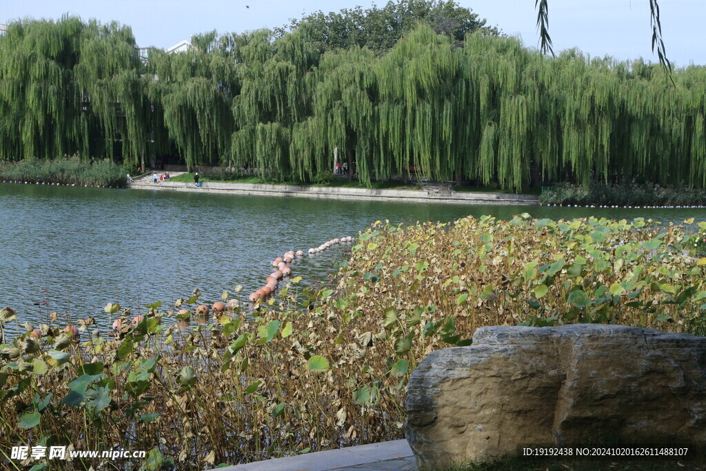 陶然亭风景 