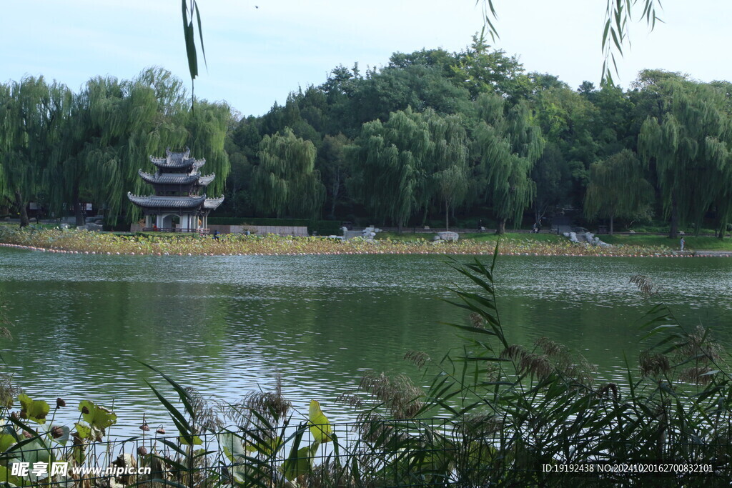 公园风景 