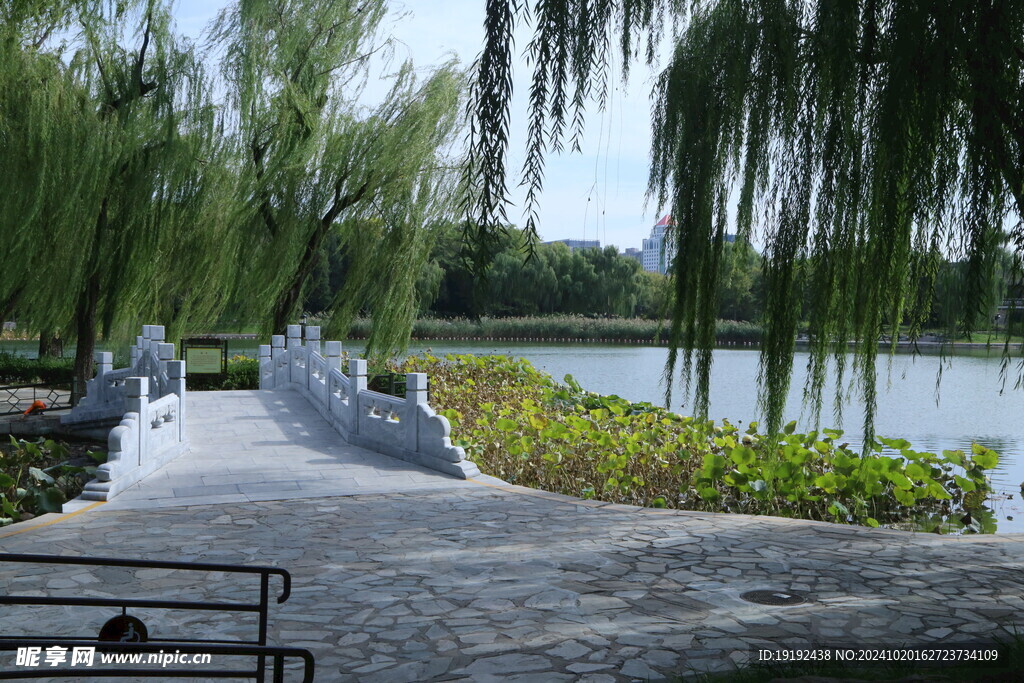 公园风景  