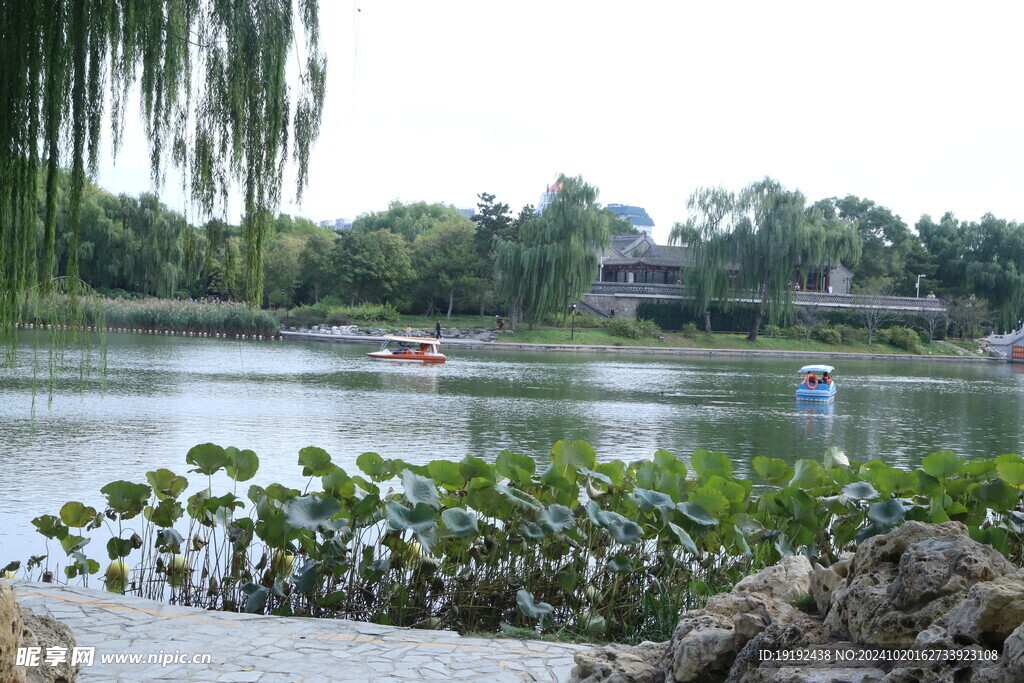 公园风景 