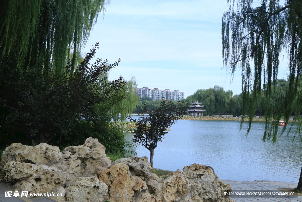 公园风景  
