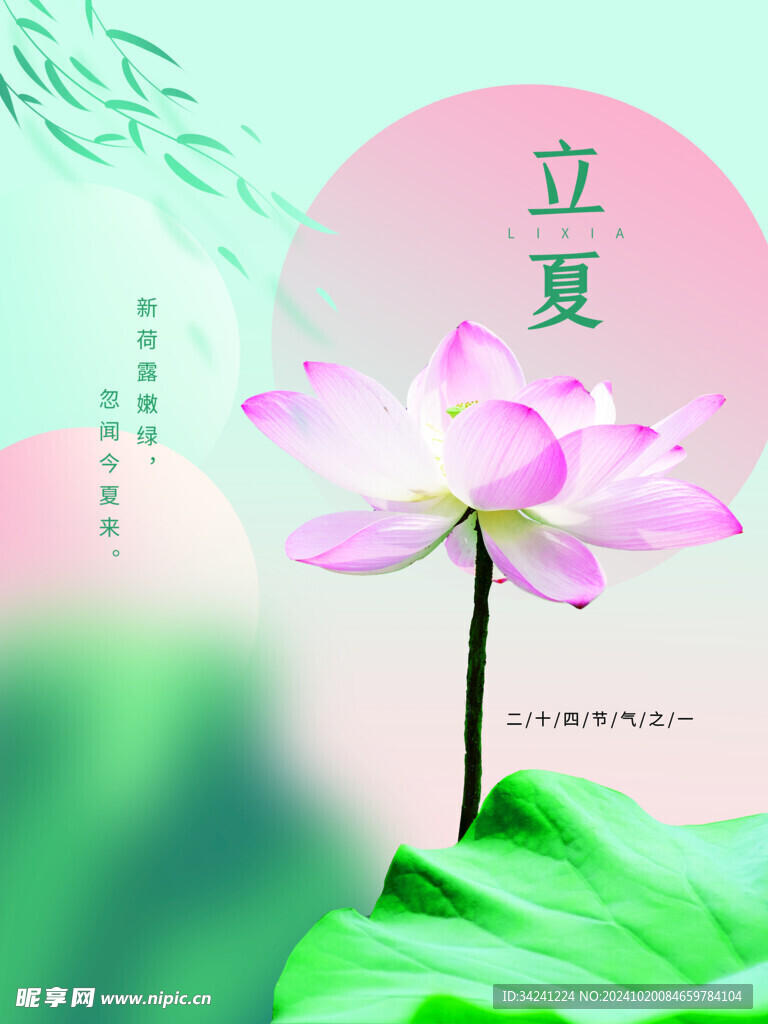 立夏节气宣传海报展板