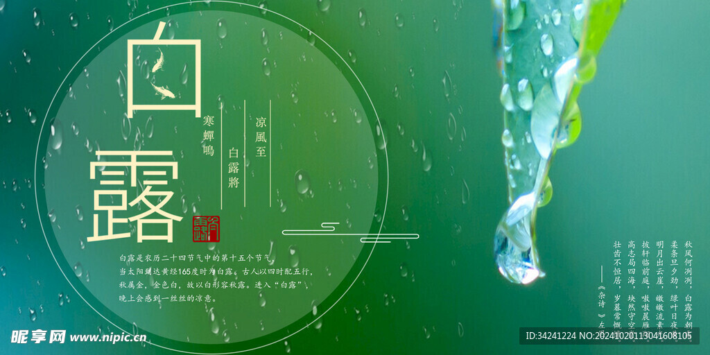 白露节气宣传海报展板