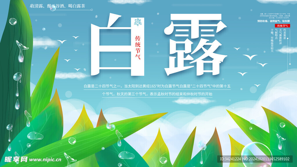 白露节气宣传海报展板