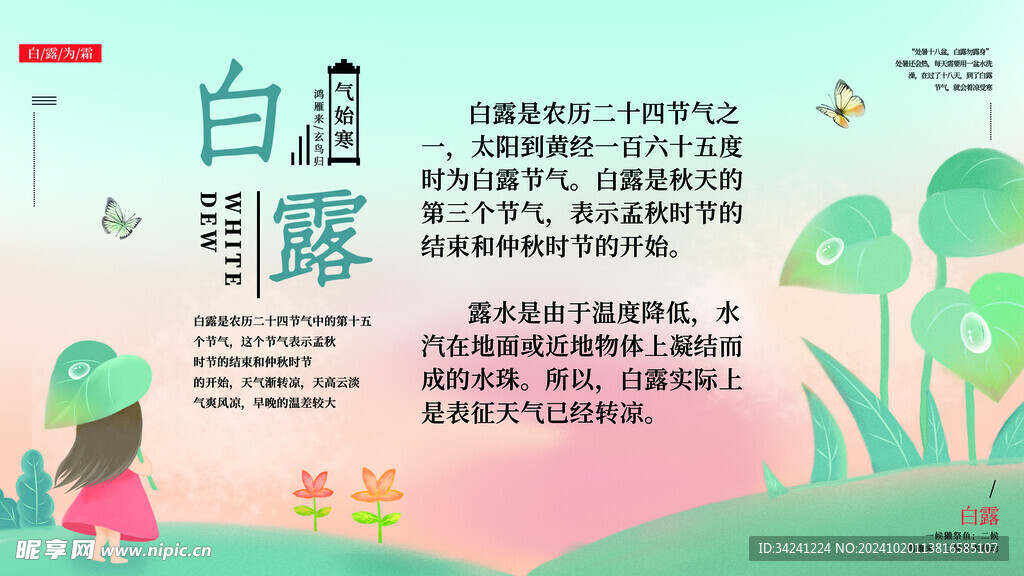 白露节气宣传海报展板