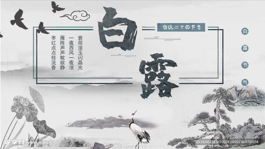 白露节气宣传海报展板