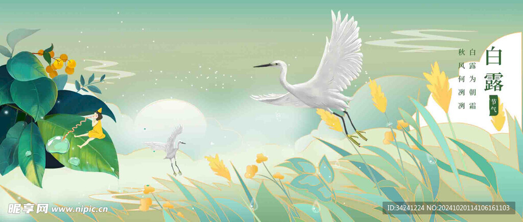 白露节气宣传海报展板