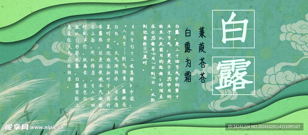 白露节气宣传海报展板