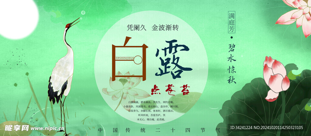 白露节气宣传海报展板