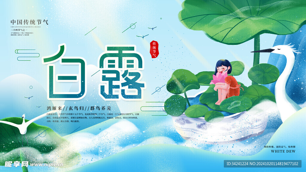 白露节气宣传海报展板