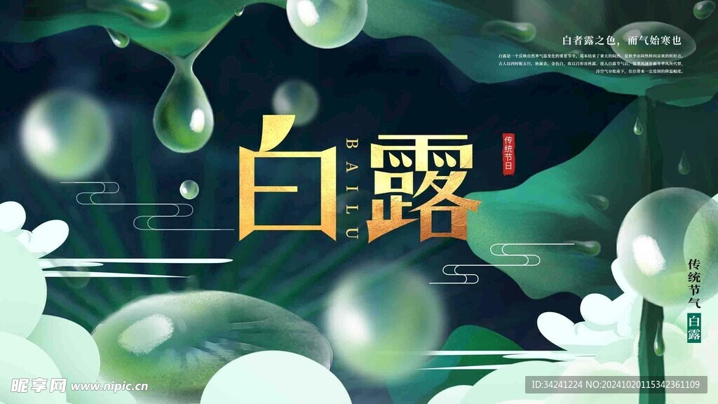 白露节气宣传海报展板