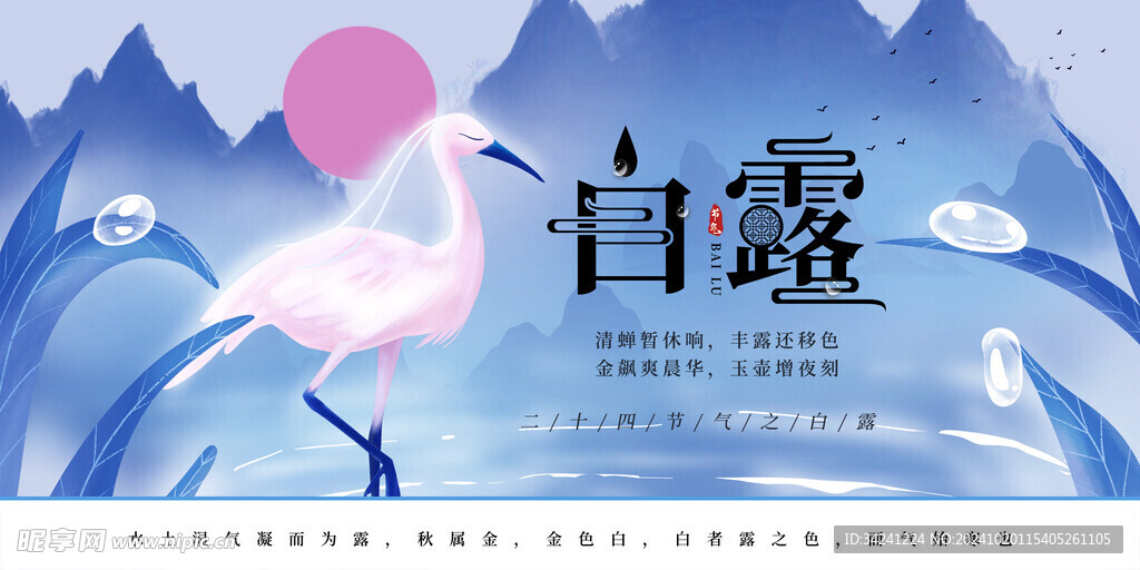 白露节气宣传海报展板